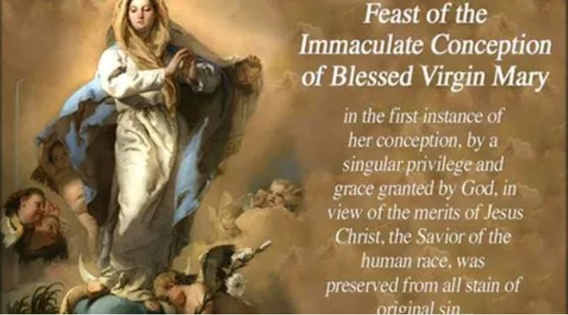 Feast of Immaculate Conception banner