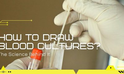how to draw blood cultures