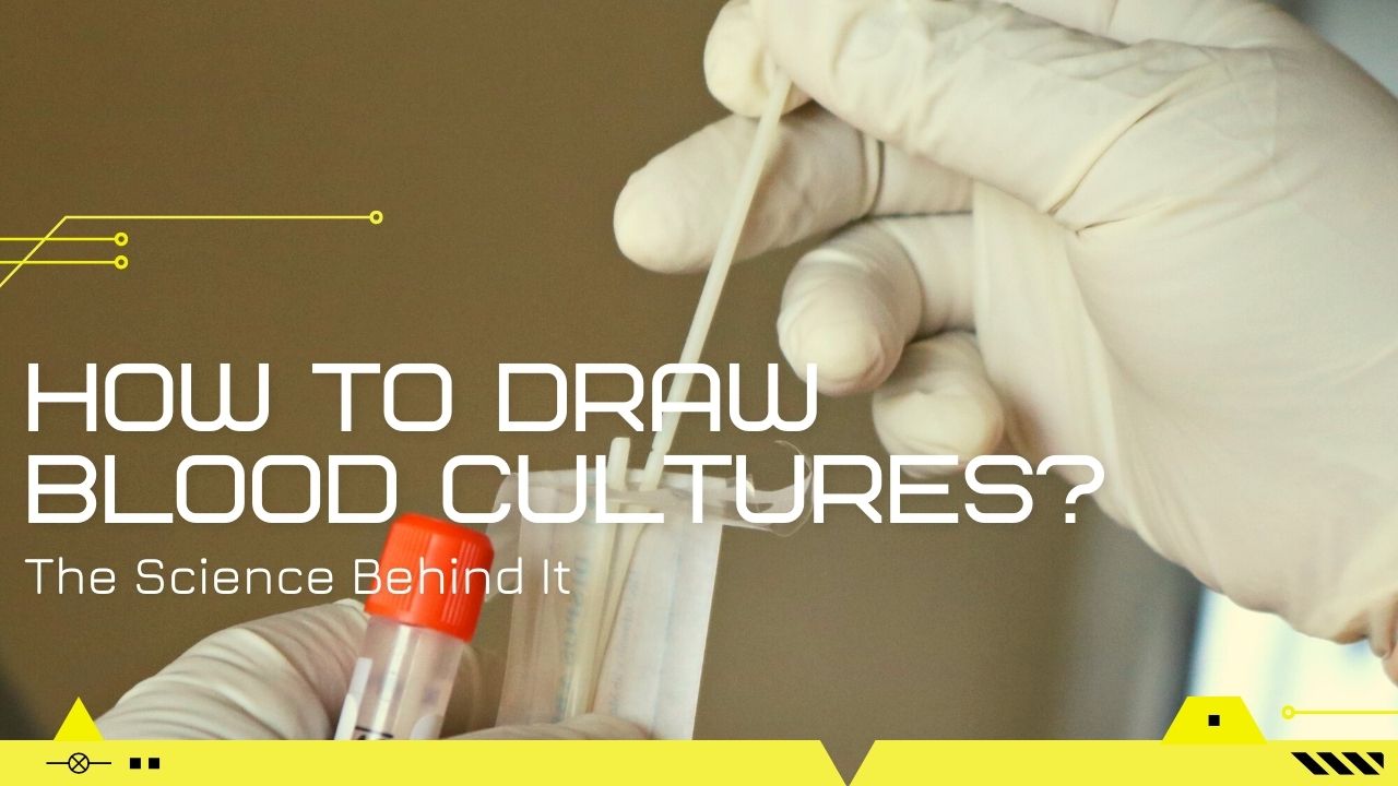 how to draw blood cultures